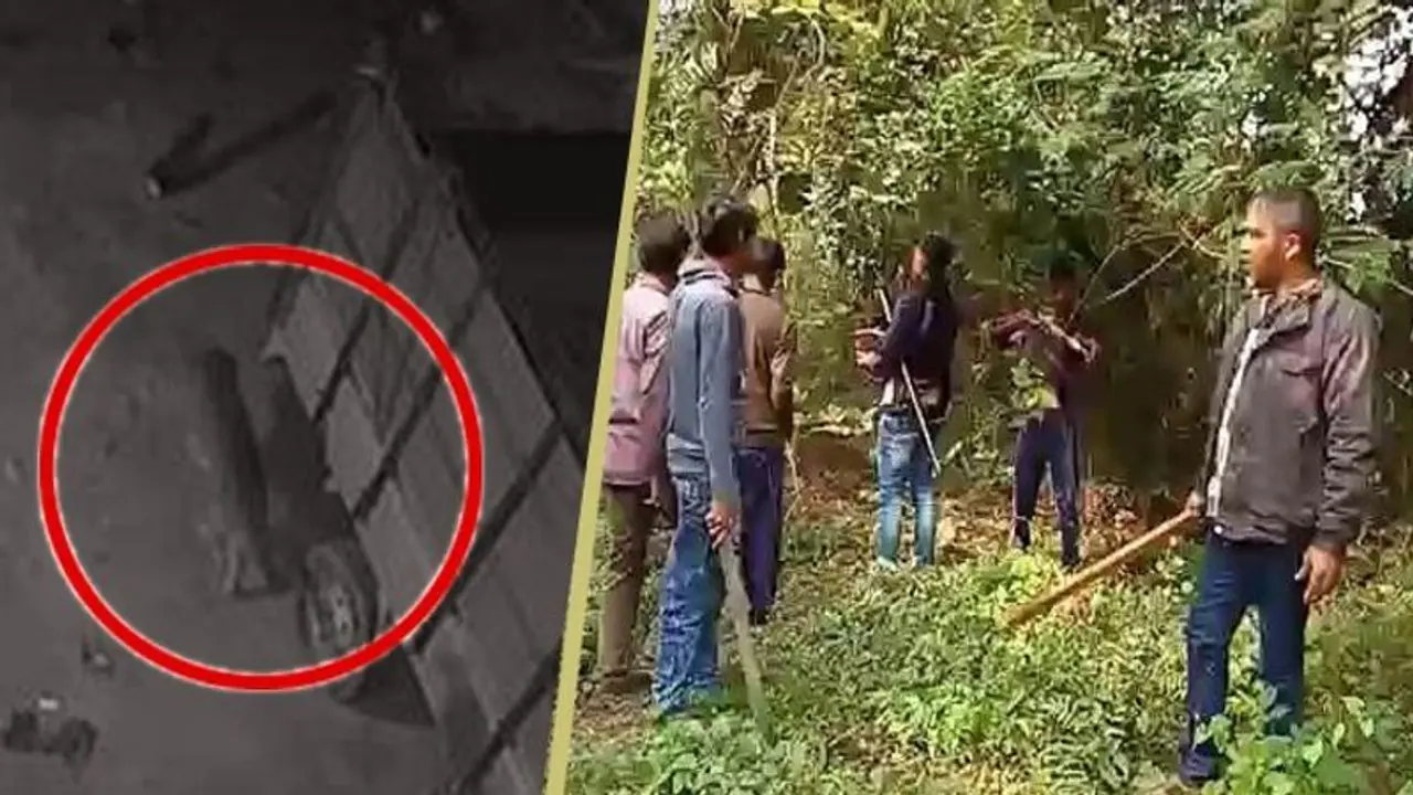 কলকাতার কাছেই বাঘের আতঙ্ক, কোন্নগরে ভয় ধরাল সিসিটিভি র ছবি