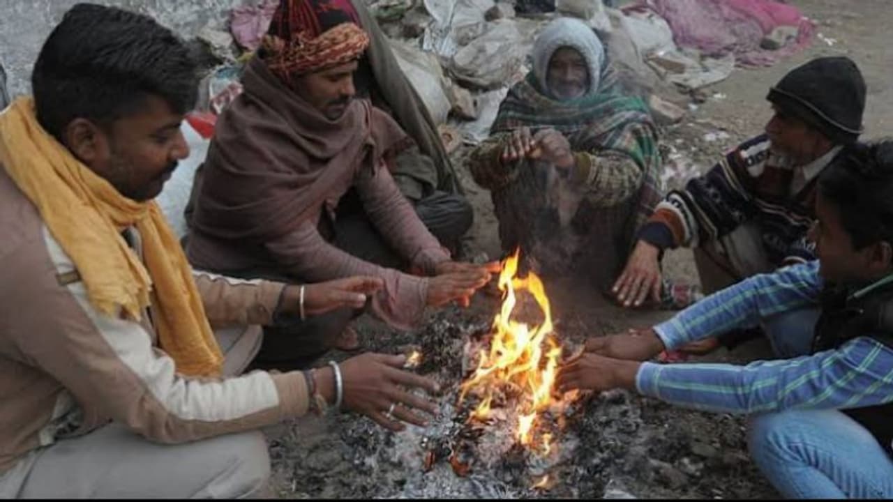 पंजाब, हरियाणा के ज्यादातर इलाकों में ठंड का कहर जारी पंजाब, हरियाणा के ज्यादातर इलाकों में ठंड का कहर जारी