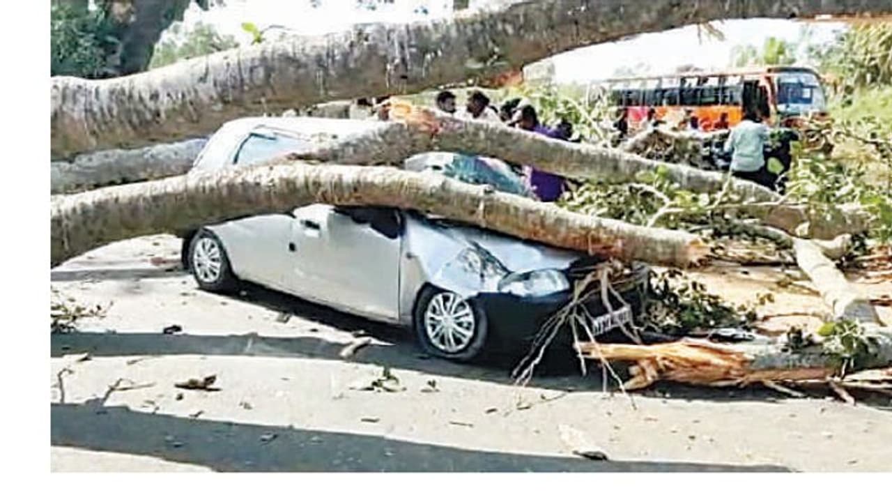 ಚಲಿಸುತ್ತಿದ್ದ ಕಾರಿನ ಮೇಲೆ ಬಿದ್ದ ಬೃಹತ್ ಮರ ಚಲಿಸುತ್ತಿದ್ದ ಕಾರಿನ ಮೇಲೆ ಬಿದ್ದ ಬೃಹತ್ ಮರ