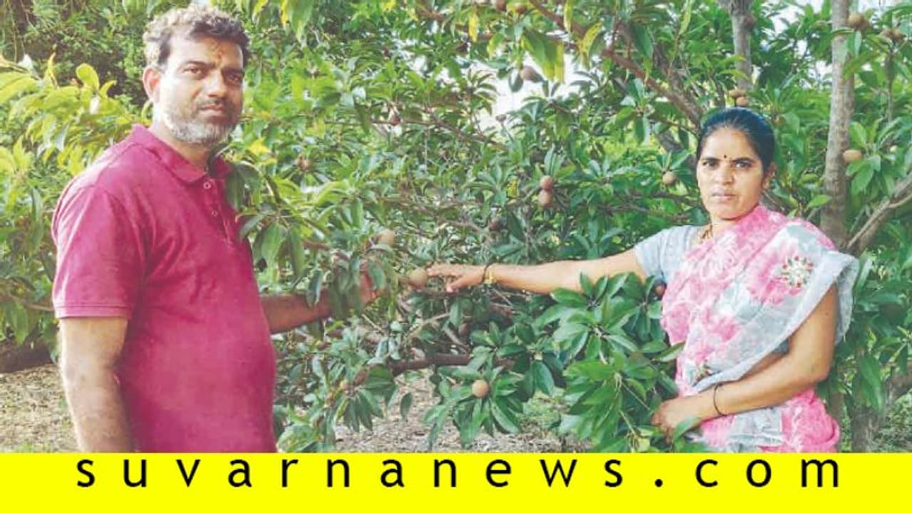 ಹುಣಸೆ, ಲಿಂಬು ಬೆಳೆದ ರಾಮದುರ್ಗ ರೈತನ ಕೈ ಸೇರಿತು ಕೋಟಿ ಸಂಪಾದನೆ.!