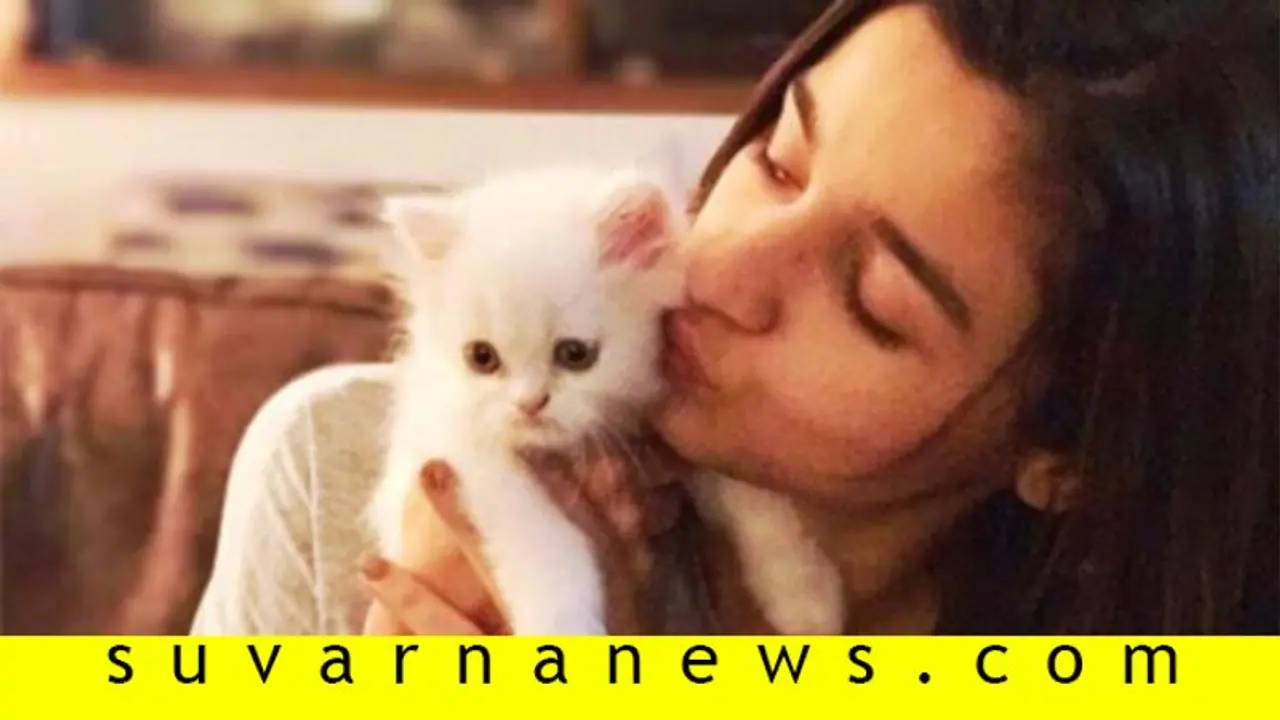 ಬೆನ್ನು ನೋವಿನಿಂದ ಬಳಲುತ್ತಿದ್ದರೂ ಬೆಕ್ಕಿನ ಜೊತೆ ಆಲಿಯಾ ಸೆಲ್ಫಿ! ಬೆನ್ನು ನೋವಿನಿಂದ ಬಳಲುತ್ತಿದ್ದರೂ ಬೆಕ್ಕಿನ ಜೊತೆ ಆಲಿಯಾ ಸೆಲ್ಫಿ!