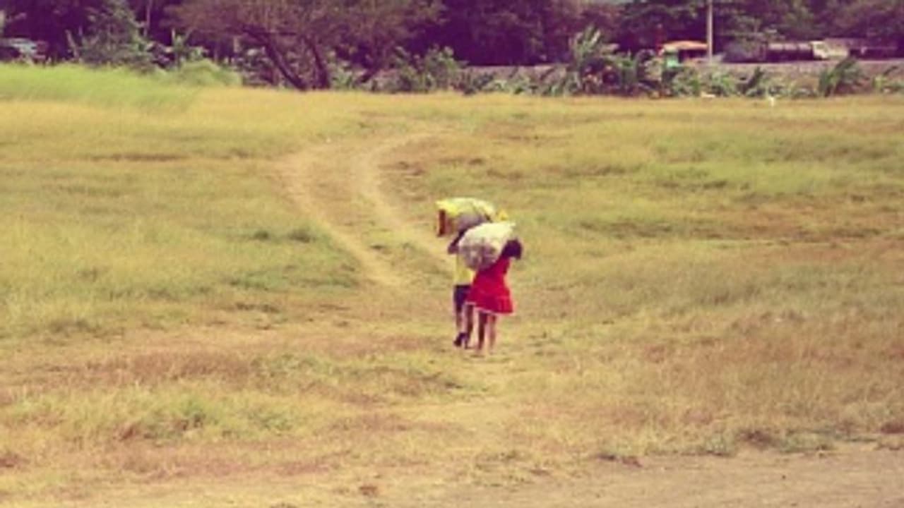 ഇടുക്കിയില് അടയ്ക്കാ കളത്തില് ബാലവേല; 37 കുട്ടികളെ കണ്ടെത്തി, നടത്തിപ്പുകാരനെതിരെ നടപടി ഇടുക്കിയില് അടയ്ക്കാ കളത്തില് ബാലവേല; 37 കുട്ടികളെ കണ്ടെത്തി, നടത്തിപ്പുകാരനെതിരെ നടപടി