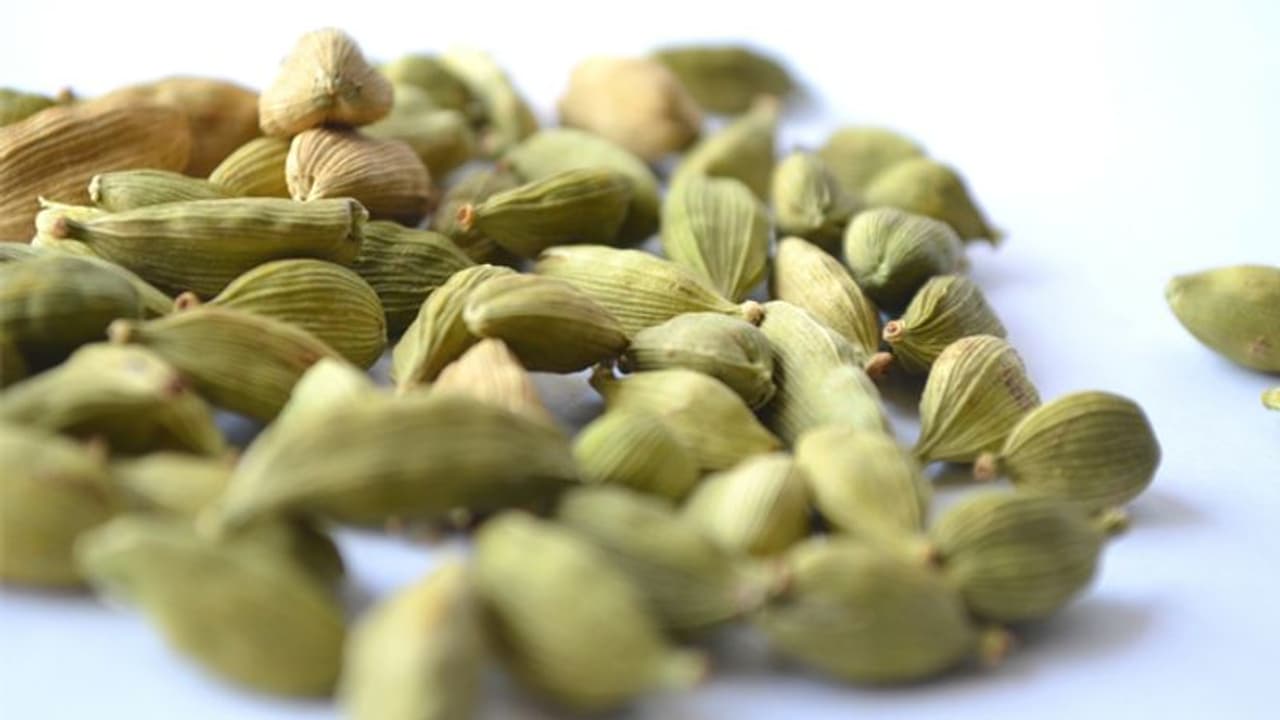 'സുഗന്ധവ്യഞ്ജനങ്ങളുടെ റാണി' ഏലം ഇനി വീട്ടുവളപ്പിലും കൃഷി ചെയ്യാം 'സുഗന്ധവ്യഞ്ജനങ്ങളുടെ റാണി' ഏലം ഇനി വീട്ടുവളപ്പിലും കൃഷി ചെയ്യാം