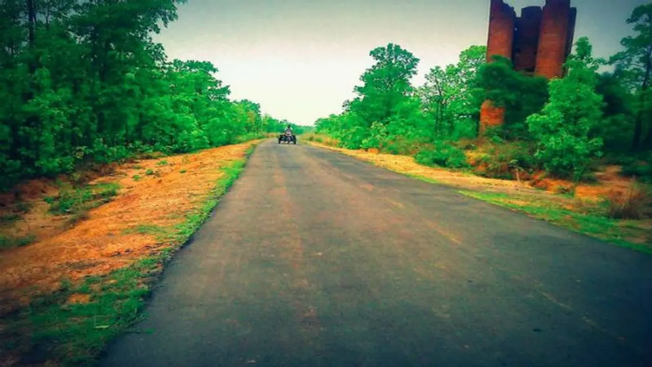 শাল পিয়ালের বন, ইতিহাস ও রূপকথার গল্প আছে ভালকিমাচানে শাল পিয়ালের বন, ইতিহাস ও রূপকথার গল্প আছে ভালকিমাচানে