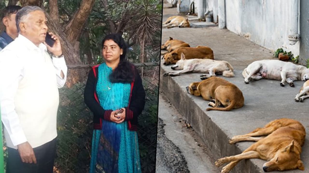 Karnataka horticulture minister surprised by dog poop at Bengaluru's Cubbon Park Karnataka horticulture minister surprised by dog poop at Bengaluru's Cubbon Park