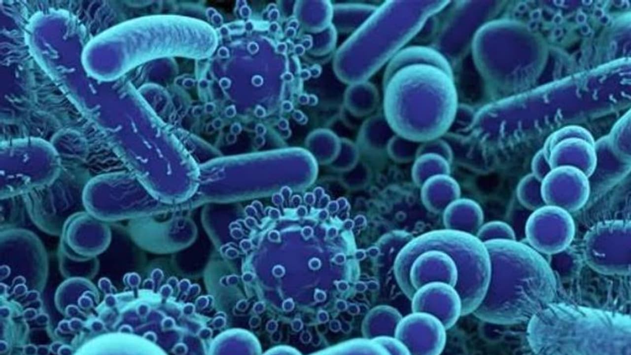 30 മലയാളി നഴ്സുമാർക്ക് കൊറോണ ബാധയെന്ന പ്രചാരണം അവാസ്തവം: ഒരാൾക്ക് മാത്രമെന്ന് സ്ഥിരീകരണം 30 മലയാളി നഴ്സുമാർക്ക് കൊറോണ ബാധയെന്ന പ്രചാരണം അവാസ്തവം: ഒരാൾക്ക് മാത്രമെന്ന് സ്ഥിരീകരണം