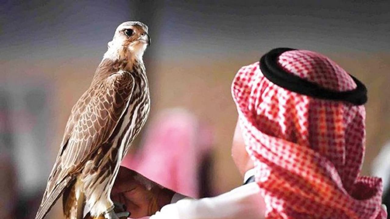 അന്താരാഷ്ട്ര പക്ഷിമേള ജനുവരി 31 മുതൽ അന്താരാഷ്ട്ര പക്ഷിമേള ജനുവരി 31 മുതൽ