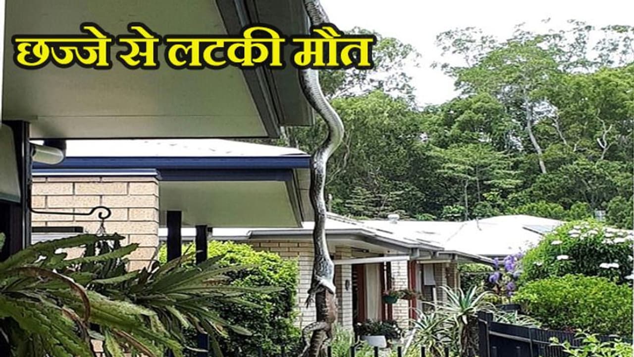 शाम को घर से बाहर टहलने निकला युवक, लौटा तो छज्जे से मुंह फैलाकर लटकी थी मौत शाम को घर से बाहर टहलने निकला युवक, लौटा तो छज्जे से मुंह फैलाकर लटकी थी मौत