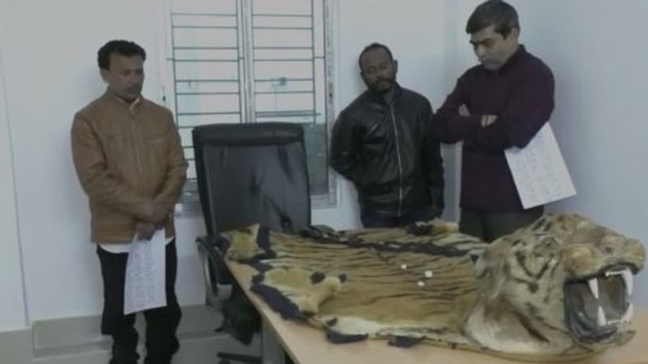 ক্রেতা সেজে বাজিমাত, পুলিশের জালে ৩ পাচারকারী ক্রেতা সেজে বাজিমাত, পুলিশের জালে ৩ পাচারকারী