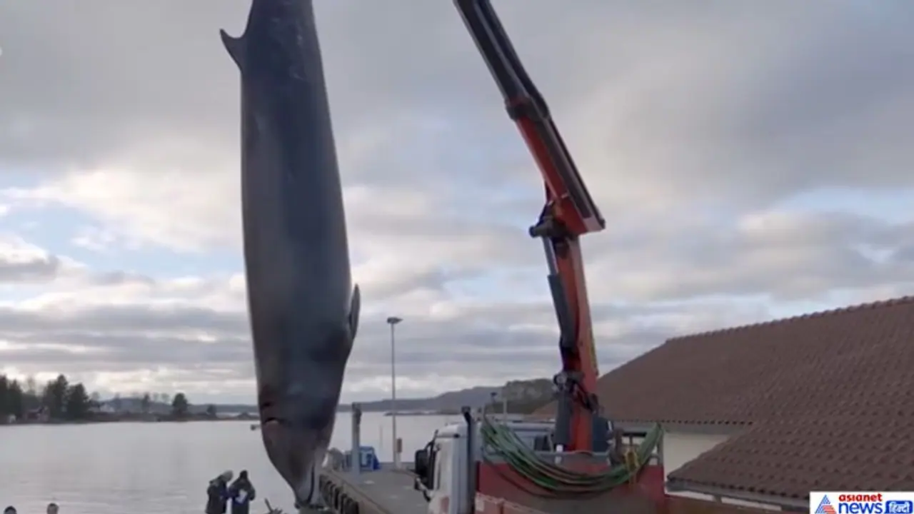 इस एक फोटो से हिल गया था पूरा देश, भारत समेत दुनियाभर के लिए है इसमें सबसे बड़ा सबक इस एक फोटो से हिल गया था पूरा देश, भारत समेत दुनियाभर के लिए है इसमें सबसे बड़ा सबक