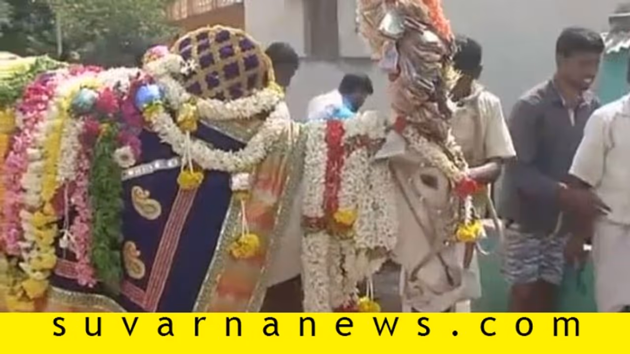 ಪವಾಡ ಸೃಷ್ಟಿಸೋ ಬಸವಣ್ಣಗಳ ಕತೆ ನಿಮಗೆ ಗೊತ್ತಾ? ಪವಾಡ ಸೃಷ್ಟಿಸೋ ಬಸವಣ್ಣಗಳ ಕತೆ ನಿಮಗೆ ಗೊತ್ತಾ?