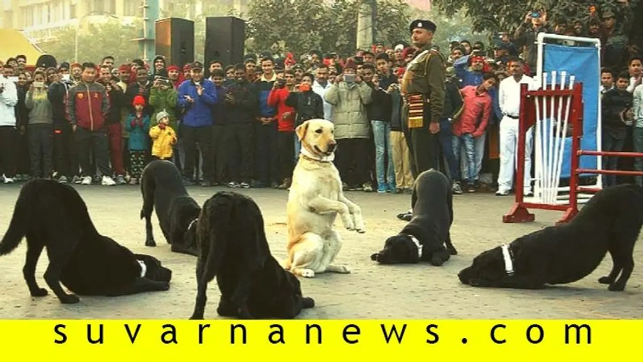 ಮೇರಠ್‌ನಲ್ಲಿ ದೇಶದ ಮೊದಲ ಪ್ರಾಣಿಗಳ ಯುದ್ಧ ಸ್ಮಾರಕ!