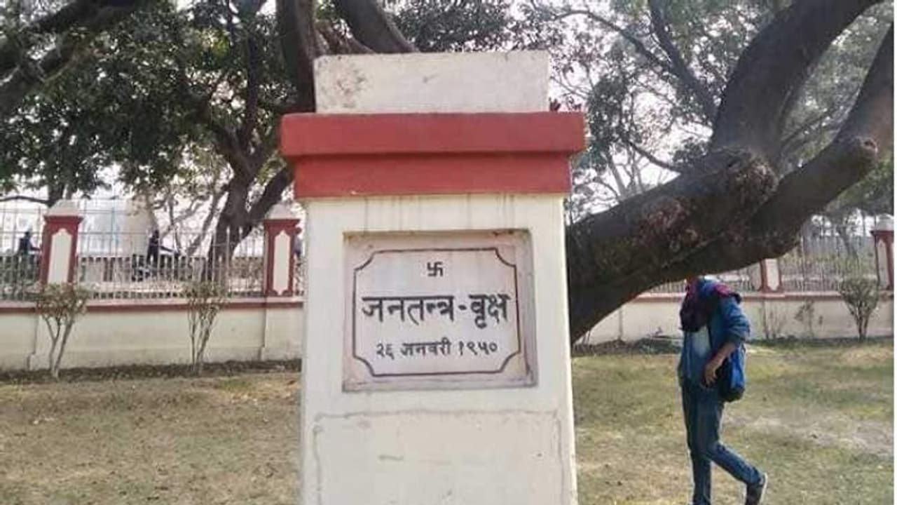 यह पेड़ बयां करता है 70 सालों से संविधान दिवस की कहानी, देश में रखा गया है इकलौता यह नाम यह पेड़ बयां करता है 70 सालों से संविधान दिवस की कहानी, देश में रखा गया है इकलौता यह नाम