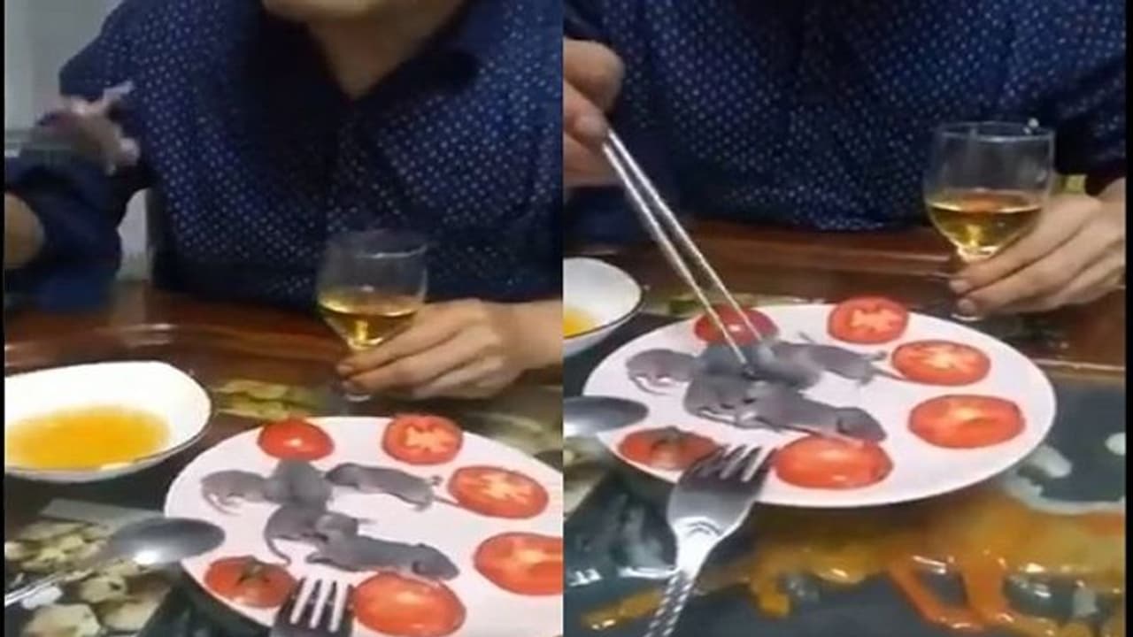 ಇಶೀ...ಜೀವಂತ ಇಲಿಮರಿಗಳನ್ನು ಕಚಕಚನೆ ಜಗಿದು ನುಂಗಿದ! ಇಶೀ...ಜೀವಂತ ಇಲಿಮರಿಗಳನ್ನು ಕಚಕಚನೆ ಜಗಿದು ನುಂಗಿದ!