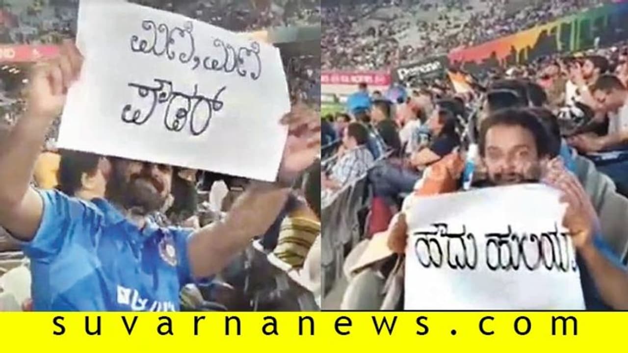 ನ್ಯೂಜಿಲೆಂಡಲ್ಲೂ ಹೌದು ಹುಲಿಯಾ, ಮಿಣಿ ಮಿಣಿ ಪೌಡರ್! ನ್ಯೂಜಿಲೆಂಡಲ್ಲೂ ಹೌದು ಹುಲಿಯಾ, ಮಿಣಿ ಮಿಣಿ ಪೌಡರ್!