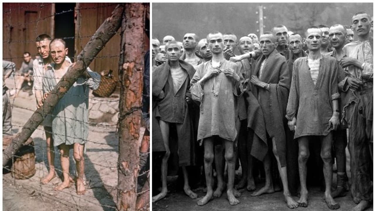 സര്ക്കാരിന്റെ സഹായത്തോടെ നടപ്പിലാക്കിയ വംശഹത്യ; നാസികൾ ജൂതരെ കൊന്നുതള്ളിയതിന്റെ പിന്നിലെ കാരണങ്ങൾ സര്ക്കാരിന്റെ സഹായത്തോടെ നടപ്പിലാക്കിയ വംശഹത്യ; നാസികൾ ജൂതരെ കൊന്നുതള്ളിയതിന്റെ പിന്നിലെ കാരണങ്ങൾ