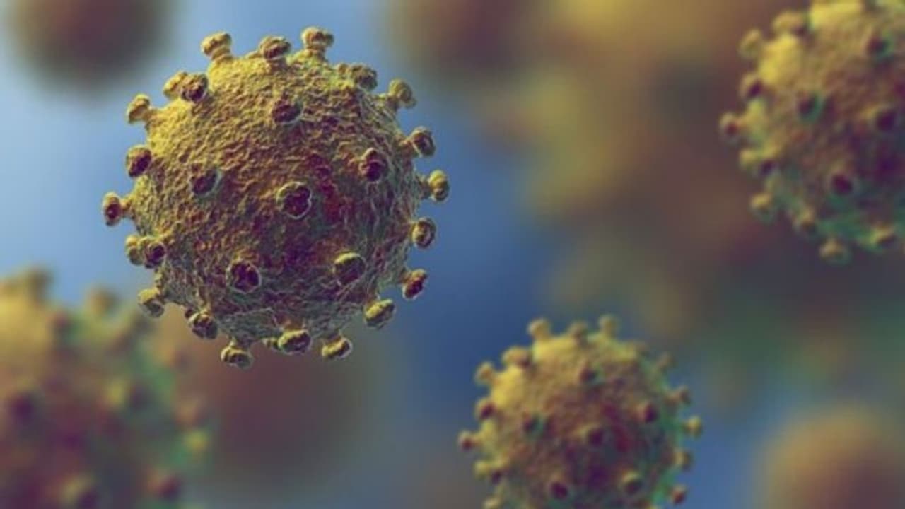 ಕೊರೋನಾ ವೈರಸ್ ಬಗ್ಗೆ ರಾಜ್ಯಾದ್ಯಂತ ಹೈಅಲರ್ಟ್! ಕೊರೋನಾ ವೈರಸ್ ಬಗ್ಗೆ ರಾಜ್ಯಾದ್ಯಂತ ಹೈಅಲರ್ಟ್!