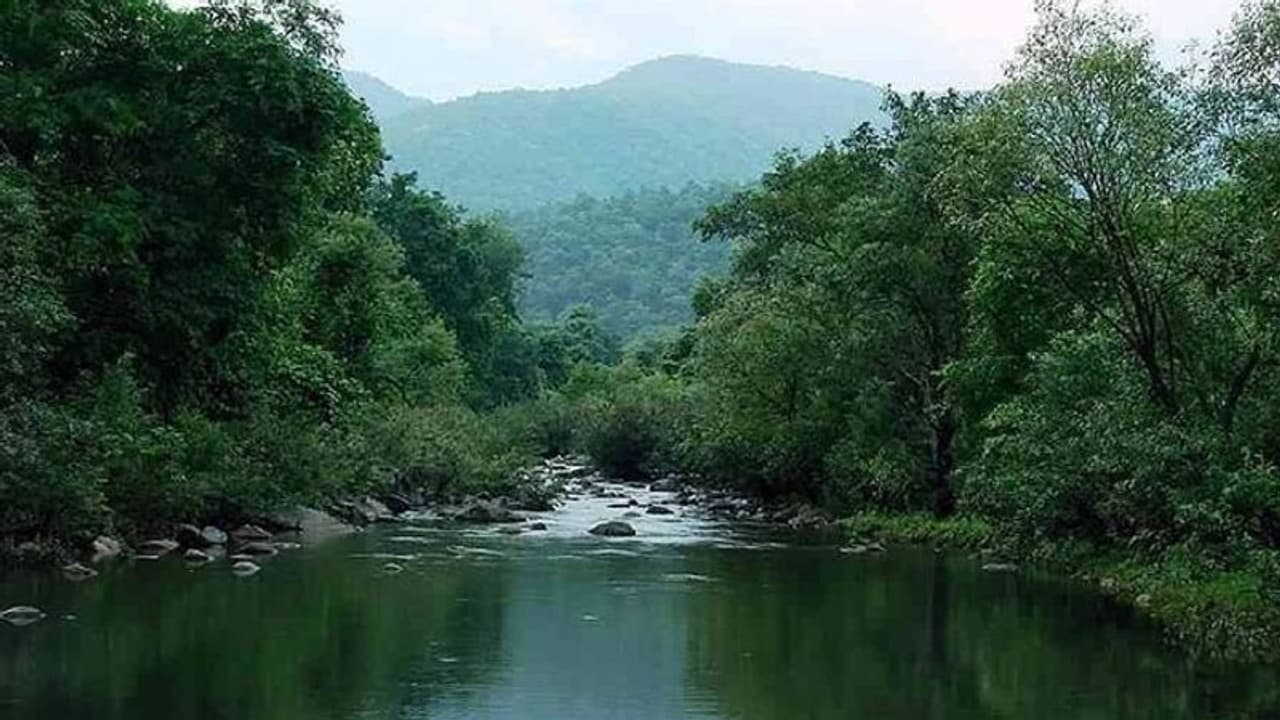 সিমলিপাল জঙ্গল ভালোবাসতে শেখায় প্রকৃতিকে, চলুন তাহলে এক জঙ্গলের বুকে সিমলিপাল জঙ্গল ভালোবাসতে শেখায় প্রকৃতিকে, চলুন তাহলে এক জঙ্গলের বুকে