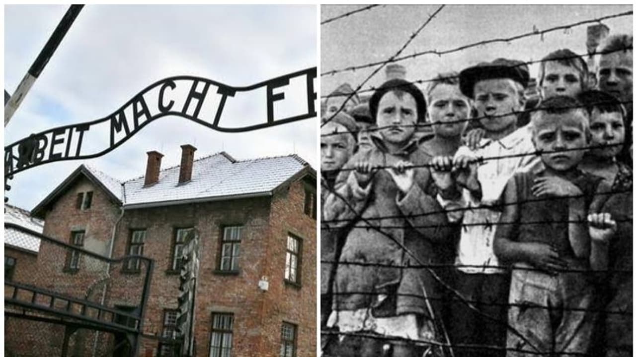 നാസി കോൺസൺട്രേഷൻ ക്യാമ്പുകളെപ്പറ്റി ലോകം ആദ്യമായി അറിഞ്ഞത് ഇങ്ങനെ നാസി കോൺസൺട്രേഷൻ ക്യാമ്പുകളെപ്പറ്റി ലോകം ആദ്യമായി അറിഞ്ഞത് ഇങ്ങനെ