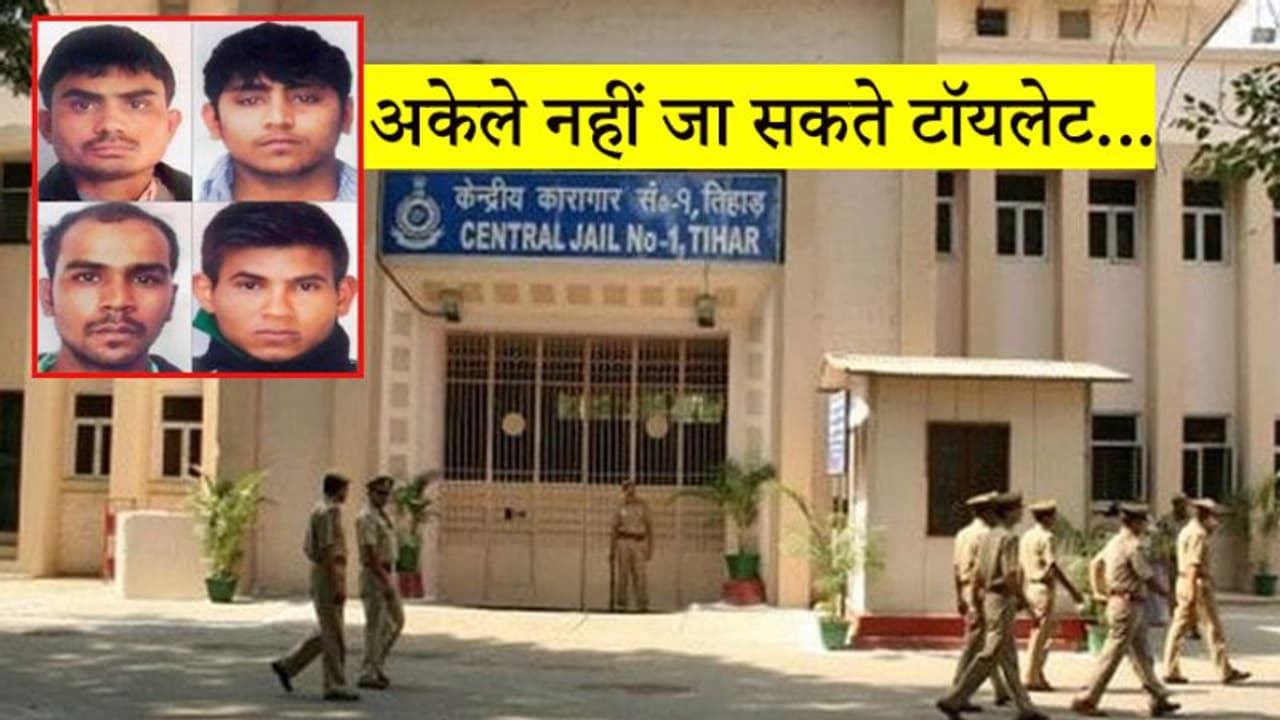 सोते वक्त भी जलती है सेल की लाइट, नहीं होता अंधेरा...मौत से पहले ऐसे कट रहे निर्भया के दोषियों के दिन सोते वक्त भी जलती है सेल की लाइट, नहीं होता अंधेरा...मौत से पहले ऐसे कट रहे निर्भया के दोषियों के दिन