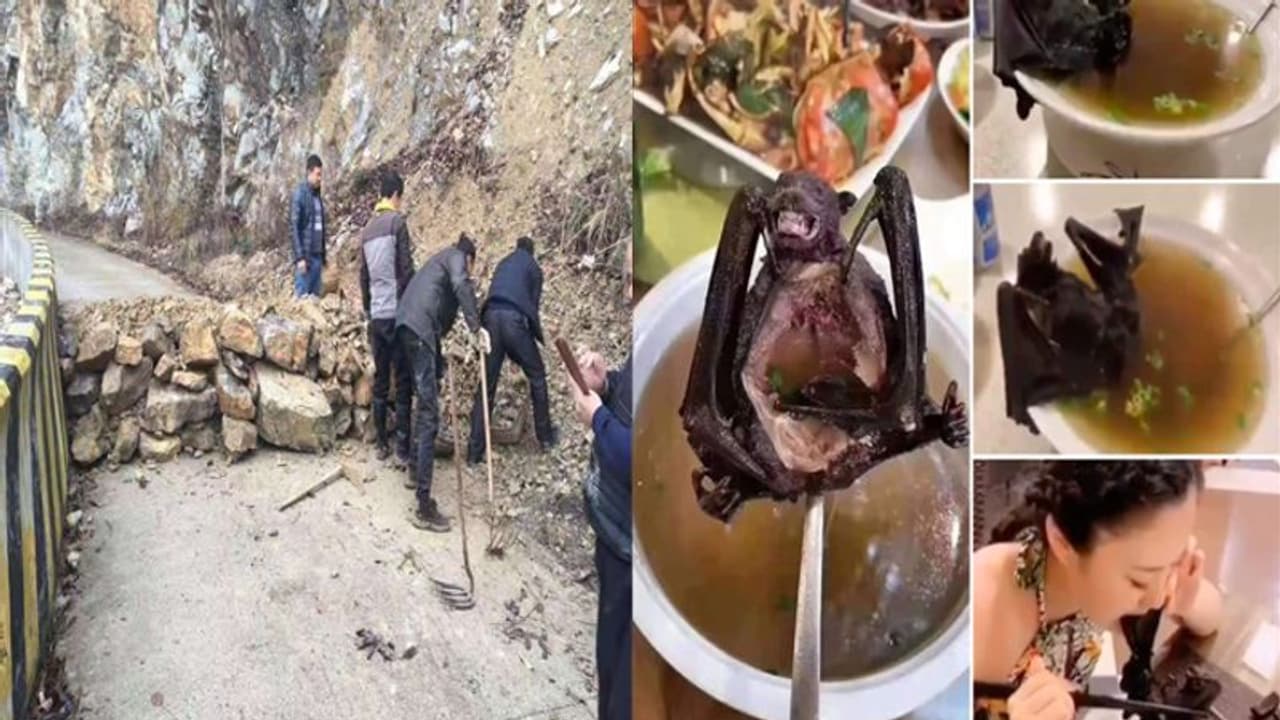 கொடூர முகத்தை காட்டும் கொரோனா.. கொத்து கொத்தாக மடியும் சீனர்கள்.. நோய்க்கான காரணம் குறித்து அதிர்ச்சி தகவல்..! கொடூர முகத்தை காட்டும் கொரோனா.. கொத்து கொத்தாக மடியும் சீனர்கள்.. நோய்க்கான காரணம் குறித்து அதிர்ச்சி தகவல்..!