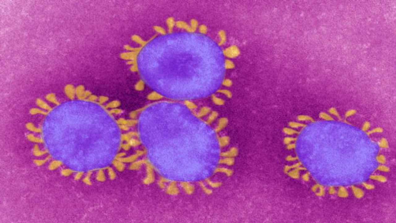 ಬೆಂಗಳೂರಲ್ಲಿ ಮತ್ತೆ ನಾಲ್ವರಿಗೆ ಕೊರೋನಾ ವೈರಸ್ ಭೀತಿ! ಆತಂಕದಲ್ಲಿ ಜನತೆ ಬೆಂಗಳೂರಲ್ಲಿ ಮತ್ತೆ ನಾಲ್ವರಿಗೆ ಕೊರೋನಾ ವೈರಸ್ ಭೀತಿ! ಆತಂಕದಲ್ಲಿ ಜನತೆ