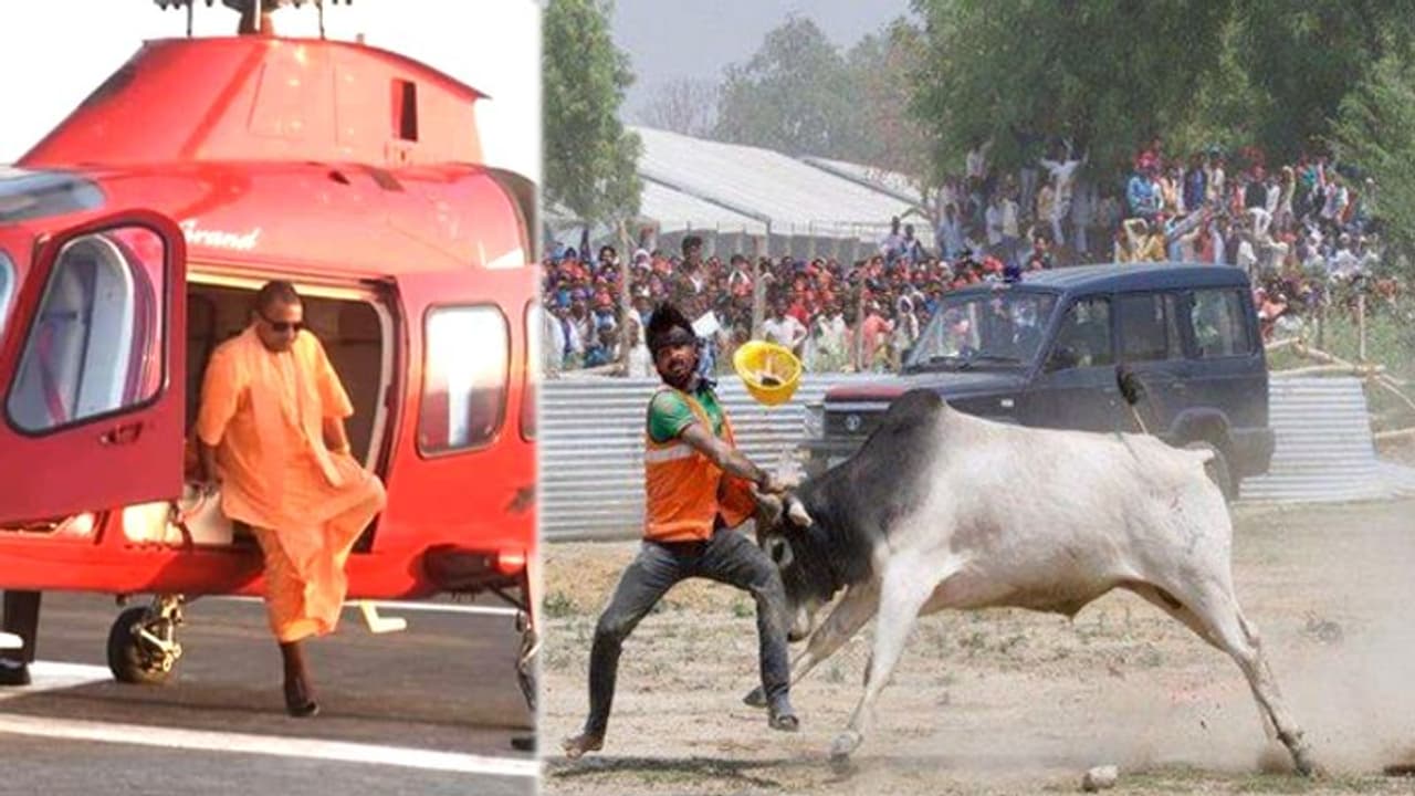 CM योगी के लिए अब गाय सांड रोकेंगे जूनियर इंजीनियर्स, रस्सी लेकर चौराहों पर होंगे तैनात CM योगी के लिए अब गाय सांड रोकेंगे जूनियर इंजीनियर्स, रस्सी लेकर चौराहों पर होंगे तैनात