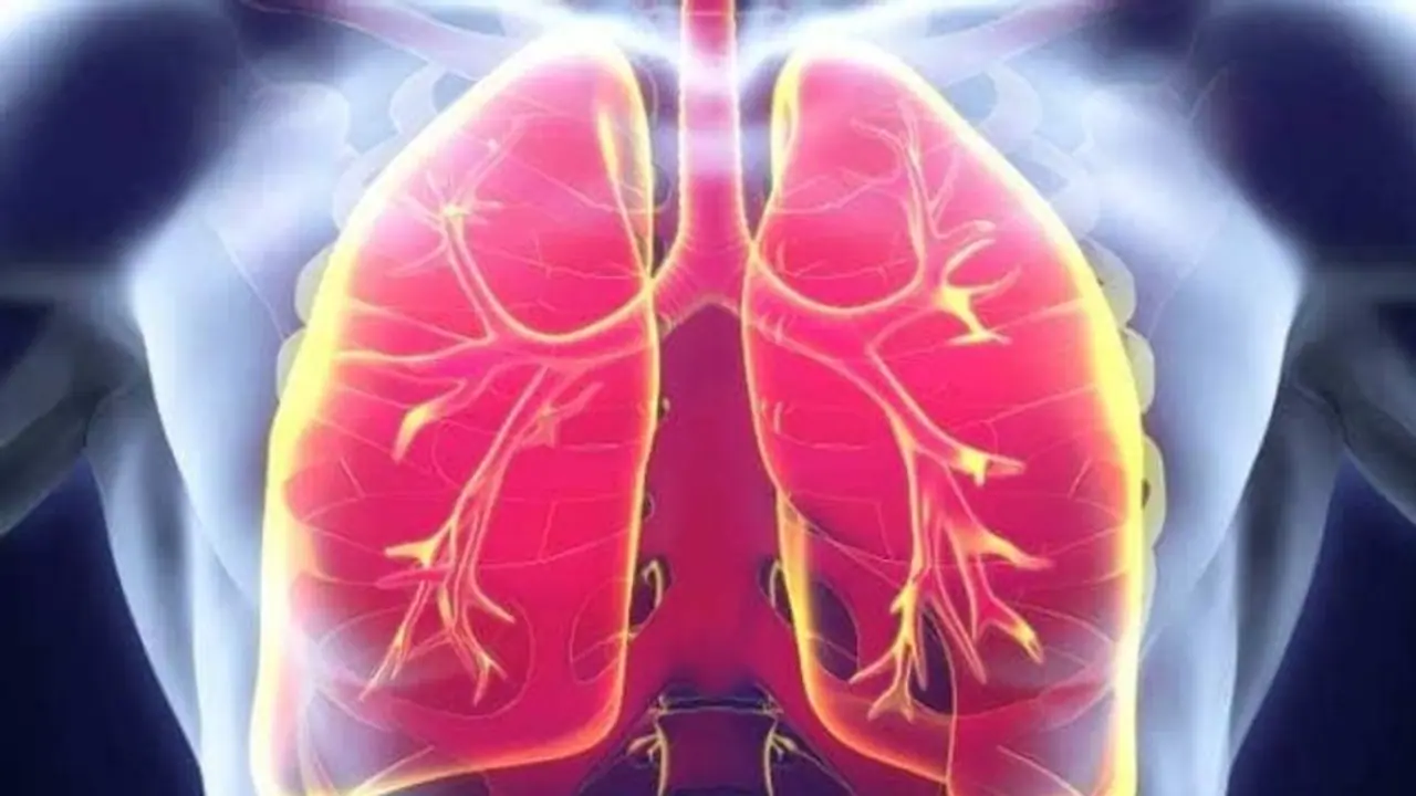 ഈ രണ്ട് ലക്ഷണങ്ങള് തുടക്കത്തിലെ കണ്ടാല് ശ്വാസകോശ ക്യാന്സറാവാം; പുതിയ പഠനം പറയുന്നത്... ഈ രണ്ട് ലക്ഷണങ്ങള് തുടക്കത്തിലെ കണ്ടാല് ശ്വാസകോശ ക്യാന്സറാവാം; പുതിയ പഠനം പറയുന്നത്...