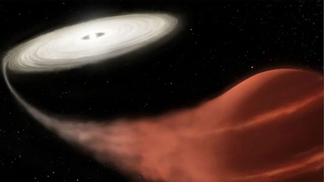 ಪತ್ತೆಯಾಯ್ತು ರಕ್ತಪಿಶಾಚಿ ನಕ್ಷತ್ರ: ಯಾವುದೂ ಬದಕುಲಾರದು ಬಂದ್ರೆ ಹತ್ರ!