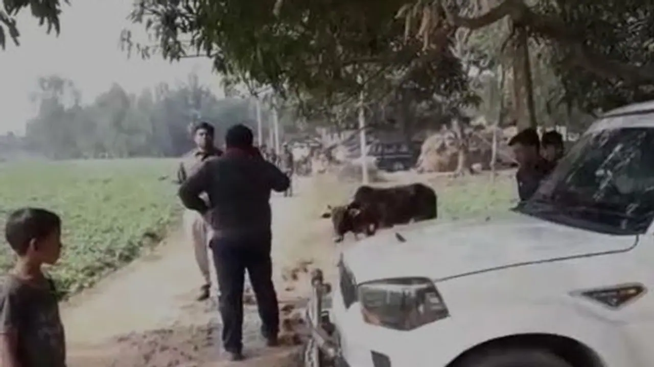 মৃগী সারেনি, প্রতিবেশীকেই ডাইনি ঠাওরালেন রোগীর পরিবার মৃগী সারেনি, প্রতিবেশীকেই ডাইনি ঠাওরালেন রোগীর পরিবার