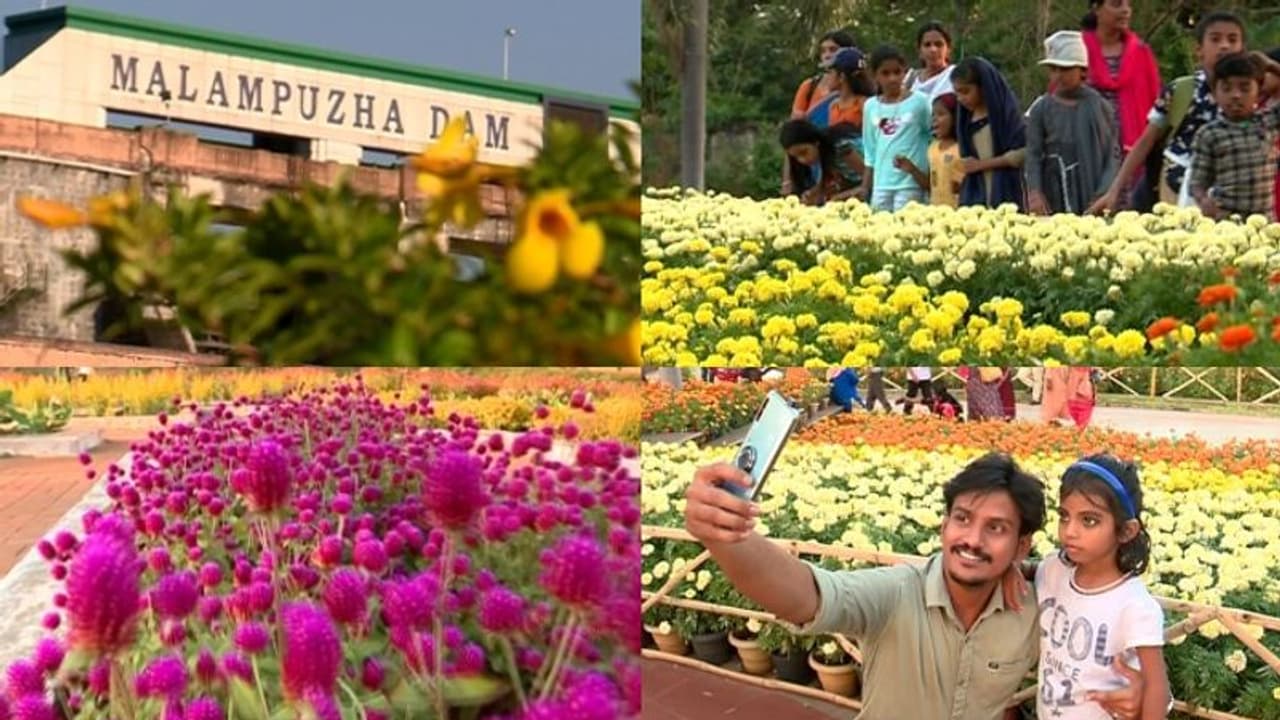 പൂക്കളൊരുക്കിയ പുതുമോടിയില്‍ മലമ്പുഴ ഉദ്യാനം: സന്ദര്‍ശകരുടെ എണ്ണത്തില്‍ വന്‍വര്‍ധന