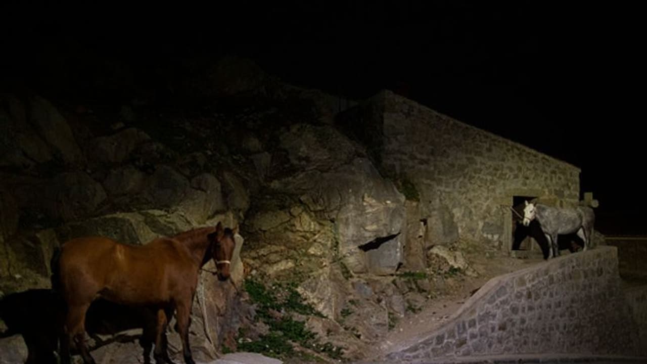 കുതിരകളെ കത്തിയാളുന്ന തീയിലൂടെ നടത്തുന്ന ആചാരം, ആചാരമാണ് അവസാനിപ്പിക്കില്ലെന്ന് നാട്ടുകാര് കുതിരകളെ കത്തിയാളുന്ന തീയിലൂടെ നടത്തുന്ന ആചാരം, ആചാരമാണ് അവസാനിപ്പിക്കില്ലെന്ന് നാട്ടുകാര്