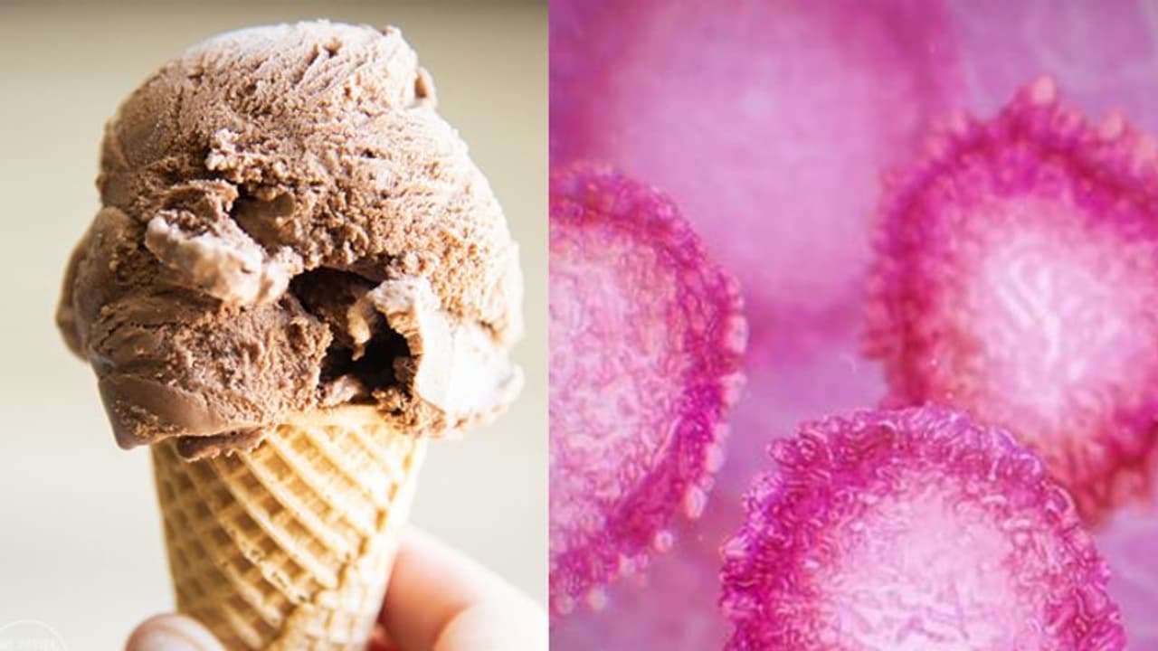 ഐസ്ക്രീമും കൊറോണ വെെറസും തമ്മിലുള്ള ബന്ധമെന്ത്; ആ വാർത്തയ്ക്ക് പിന്നിലെ വാസ്തവം എന്താണ്