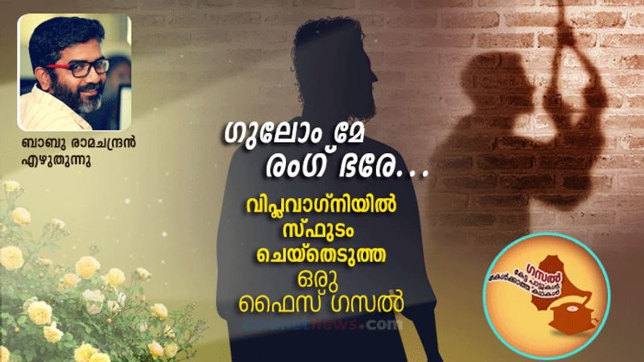 'ഒരേ വേദനയനുഭവിച്ചവർ തമ്മിൽ അറിയാതെ സംഭവിച്ചുപോകുന്ന ഒരു അടുപ്പമുണ്ട്' വിപ്ലവത്തിന്റെയും വിരഹത്തിന്റെയും ഈണം... 'ഒരേ വേദനയനുഭവിച്ചവർ തമ്മിൽ അറിയാതെ സംഭവിച്ചുപോകുന്ന ഒരു അടുപ്പമുണ്ട്' വിപ്ലവത്തിന്റെയും വിരഹത്തിന്റെയും ഈണം...