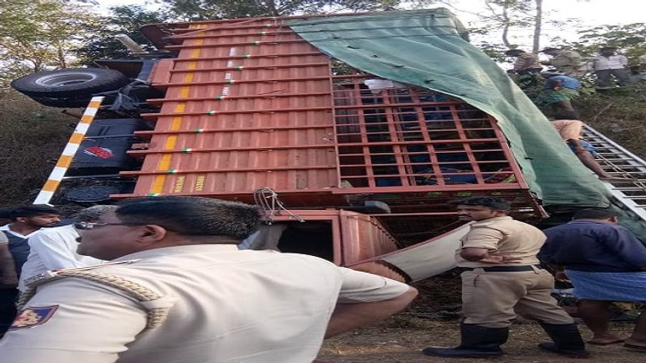 ಲಾರಿ ಪಲ್ಟಿ: ಮದುವೆಗೆ ಹೊರಟಿದ್ದ ಮೂವರು ಸಾವು, 17ಕ್ಕೂ ಹೆಚ್ಚು ಜನರಿಗೆ ಗಾಯ ಲಾರಿ ಪಲ್ಟಿ: ಮದುವೆಗೆ ಹೊರಟಿದ್ದ ಮೂವರು ಸಾವು, 17ಕ್ಕೂ ಹೆಚ್ಚು ಜನರಿಗೆ ಗಾಯ