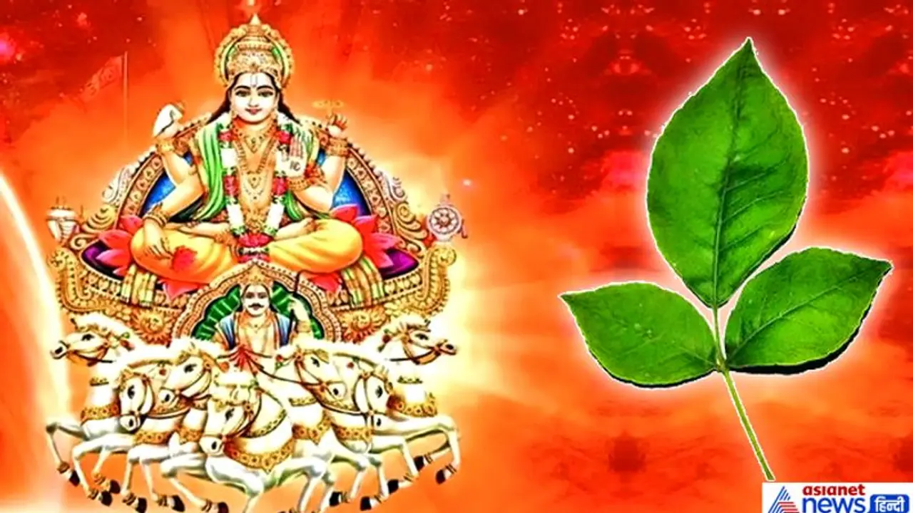 भविष्य पुराण: सूर्यदेव को बिल्व पत्र चढ़ाने से मिल सकती है धन संपत्ति भविष्य पुराण: सूर्यदेव को बिल्व पत्र चढ़ाने से मिल सकती है धन संपत्ति