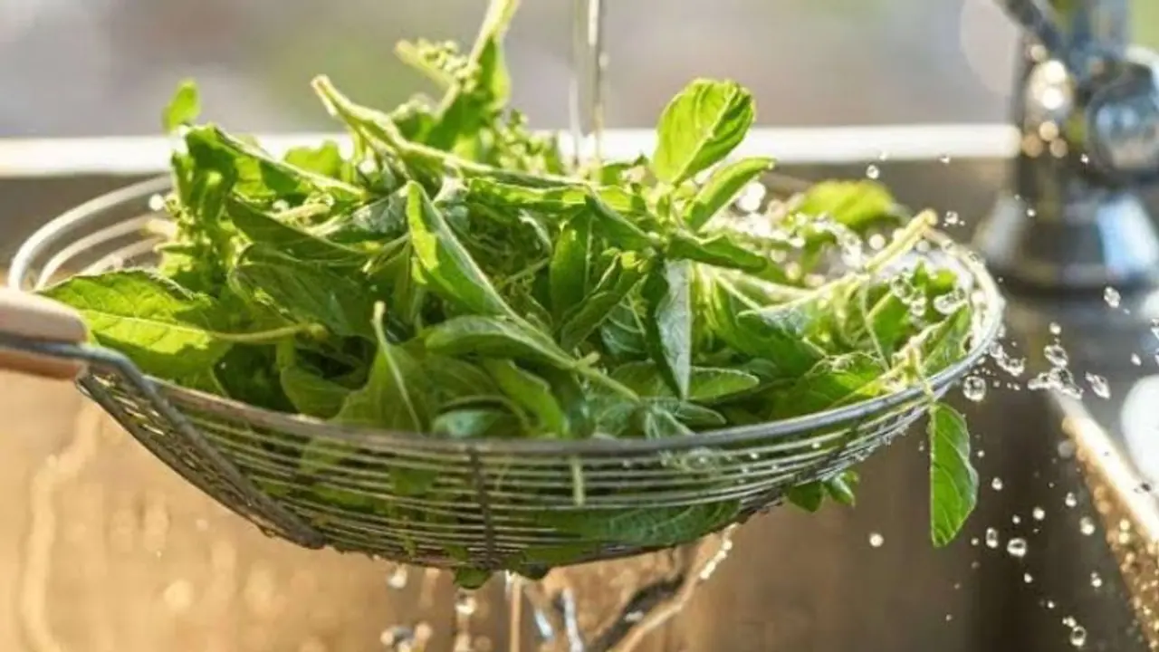 ശരീരഭാരം കുറയ്ക്കാന്‍ തുളസി സഹായിക്കുമോ ?