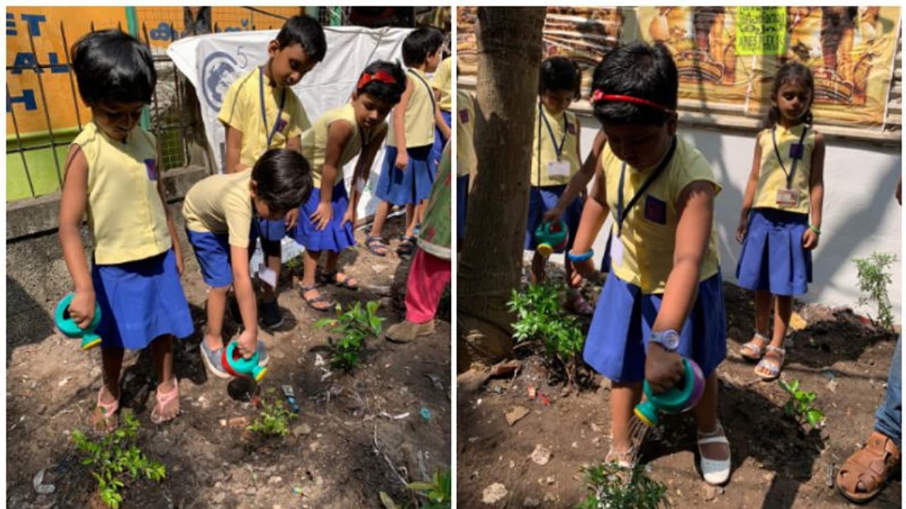 ഹരിതകേരളം കെട്ടിപ്പടുക്കാൻ പങ്കാളികളായി കുരുന്നുകള് ഹരിതകേരളം കെട്ടിപ്പടുക്കാൻ പങ്കാളികളായി കുരുന്നുകള്