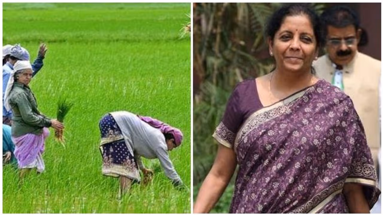 விவசாயிகளுக்கு நிம்மதியை தருமா நாளைய பட்ஜெட்?