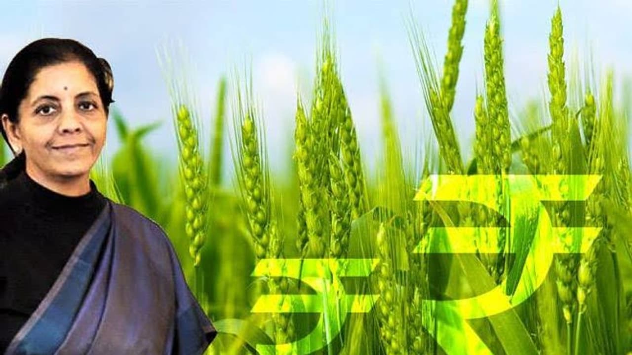 Budget 2020: గ్రామీణ మహిళలకు ధాన్యలక్ష్మి పథకం