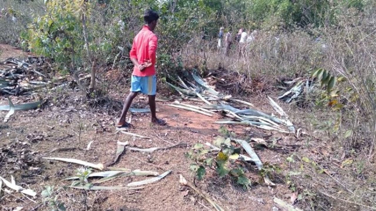 হাতি তাড়াতে গিয়ে প্রাণ গেল হুলা পার্টির সদস্যের, দেহাংশ মিলল জঙ্গলে