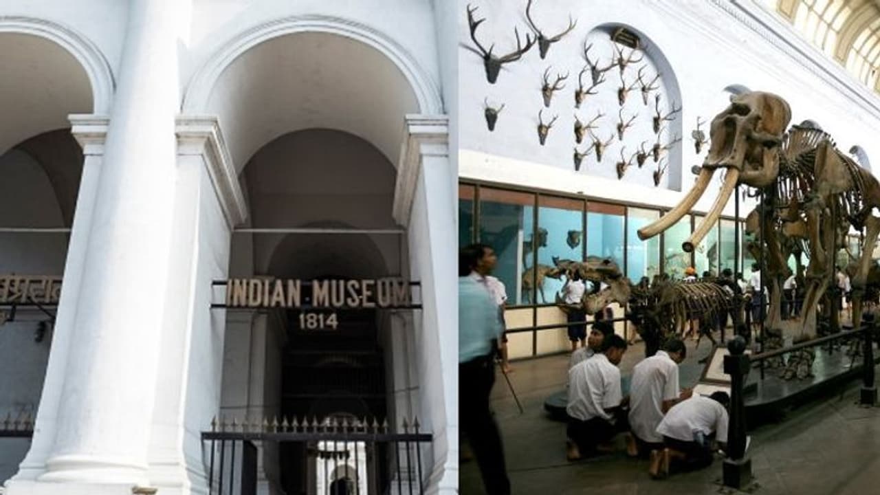 কলকাতায় যাদুঘরের জন্য় বাড়তি বরাদ্দ, তামিলনাড়ুতেও প্রত্নতাত্ত্বিক সংগ্রহশালা কলকাতায় যাদুঘরের জন্য় বাড়তি বরাদ্দ, তামিলনাড়ুতেও প্রত্নতাত্ত্বিক সংগ্রহশালা