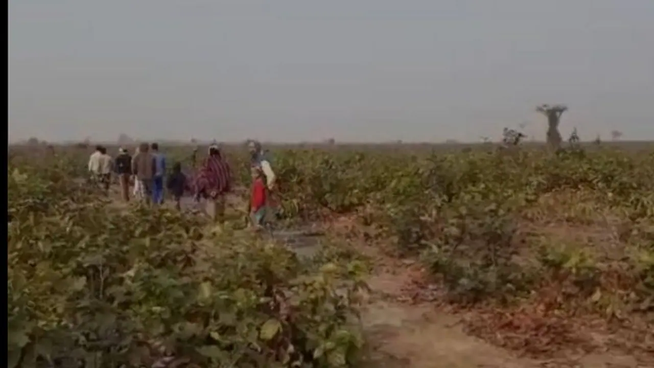 শালবনীর জঙ্গলে প্রৌঢ়াকে 'ধর্ষণ' করে 'খুন', আটক ৫ শালবনীর জঙ্গলে প্রৌঢ়াকে 'ধর্ষণ' করে 'খুন', আটক ৫