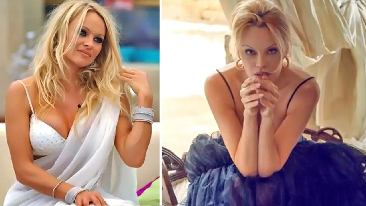 সুন্দরী পামেলা অ্যান্ডারসন কি অর্থপিশাচ, ১২ দিনের দাম্পত্যে কাঠগড়ায় তিনি