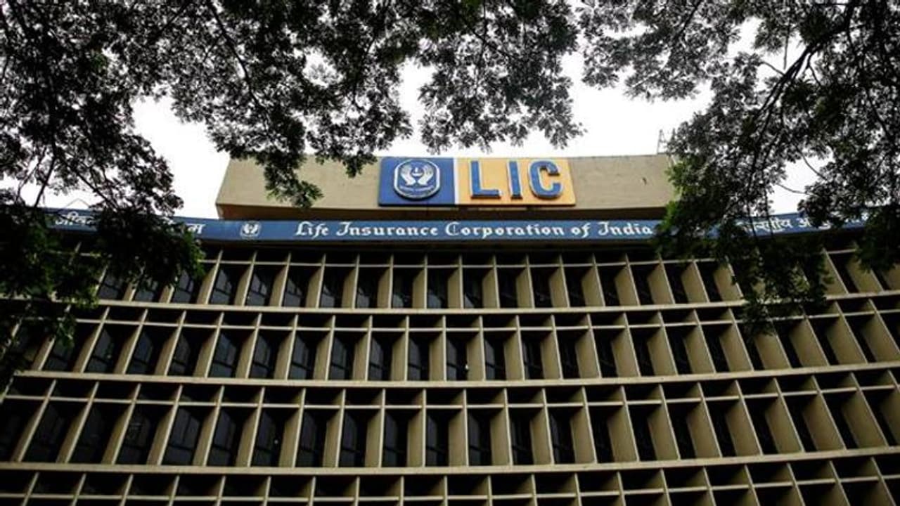 LIC का IPO लाने से बढ़ेगी पारदर्शिता, अगले वर्ष की दूसरी छमाही में आ सकता है आईपीओ: वित्त सचिव LIC का IPO लाने से बढ़ेगी पारदर्शिता, अगले वर्ष की दूसरी छमाही में आ सकता है आईपीओ: वित्त सचिव