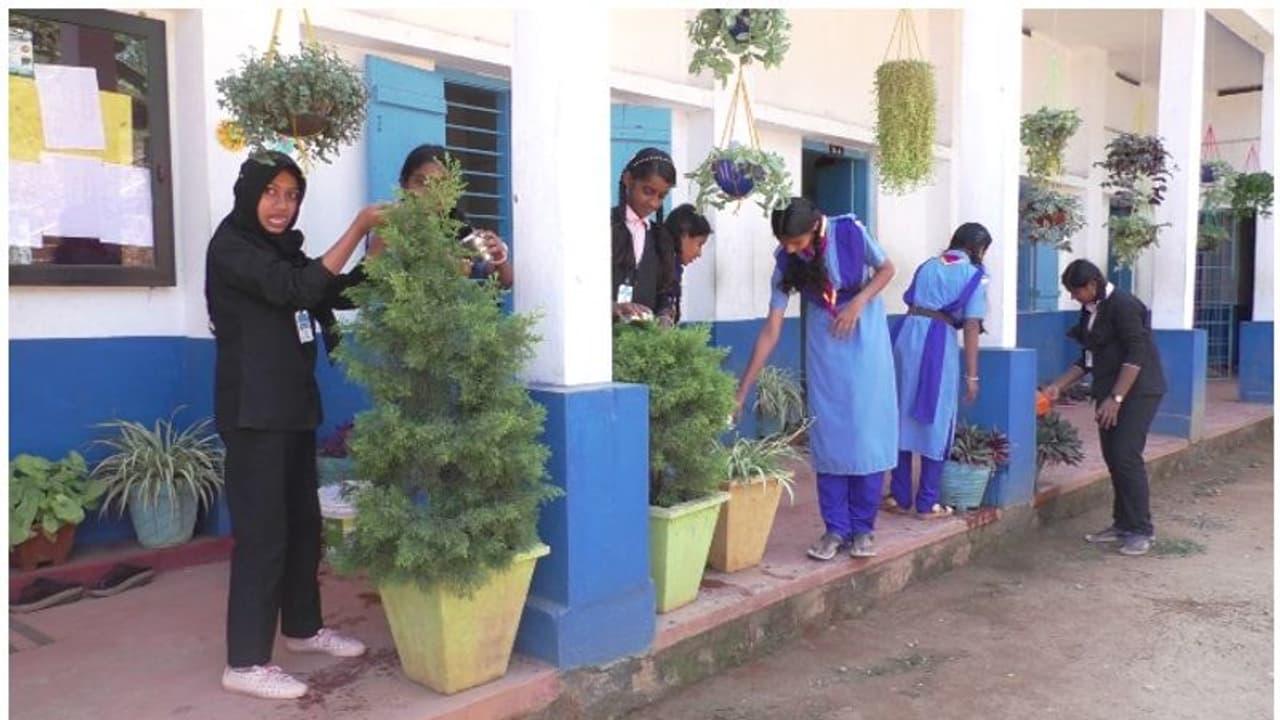 സ്കൂള് പരിസരം സുന്ദരമാക്കാന് ചെടികള് നട്ടുവളര്ത്തി ഒരു കൂട്ടം വിദ്യാര്ത്ഥികള് സ്കൂള് പരിസരം സുന്ദരമാക്കാന് ചെടികള് നട്ടുവളര്ത്തി ഒരു കൂട്ടം വിദ്യാര്ത്ഥികള്