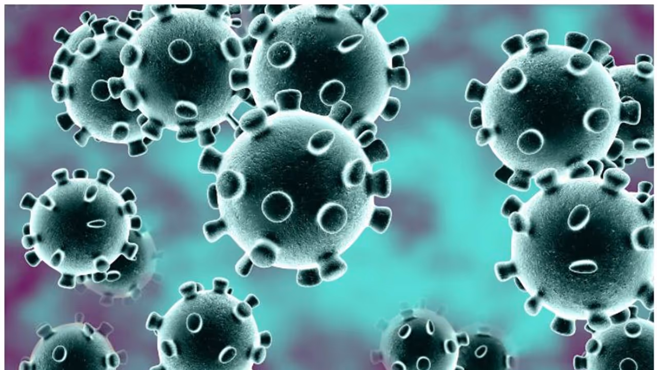 ''కాకినాడ వాసులకు కరోనా లక్షణాలు... భయంతో వైద్యులు విధులకు గైర్హాజరు'' ''కాకినాడ వాసులకు కరోనా లక్షణాలు... భయంతో వైద్యులు విధులకు గైర్హాజరు''