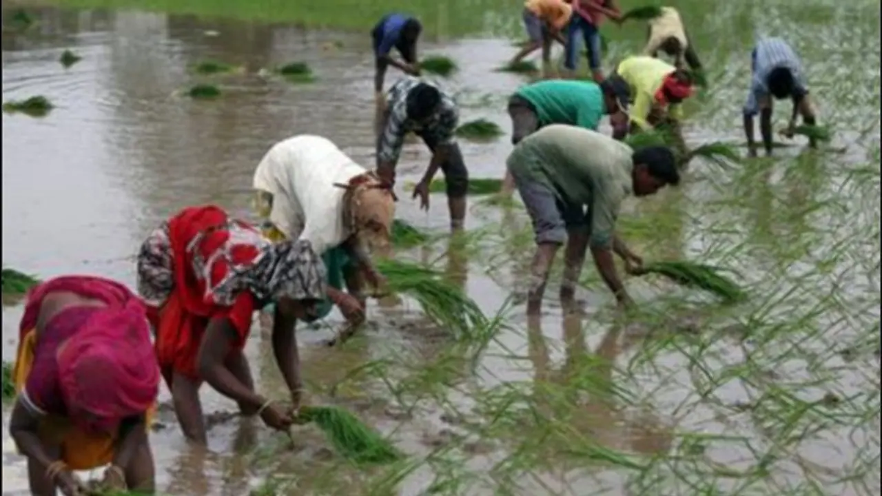 किसानों को अभी तक नही मिली है प्रधानमंत्री किसान योजना की दूसरी तीसरी किस्त, इंतजार में करोड़ों लोग किसानों को अभी तक नही मिली है प्रधानमंत्री किसान योजना की दूसरी तीसरी किस्त, इंतजार में करोड़ों लोग