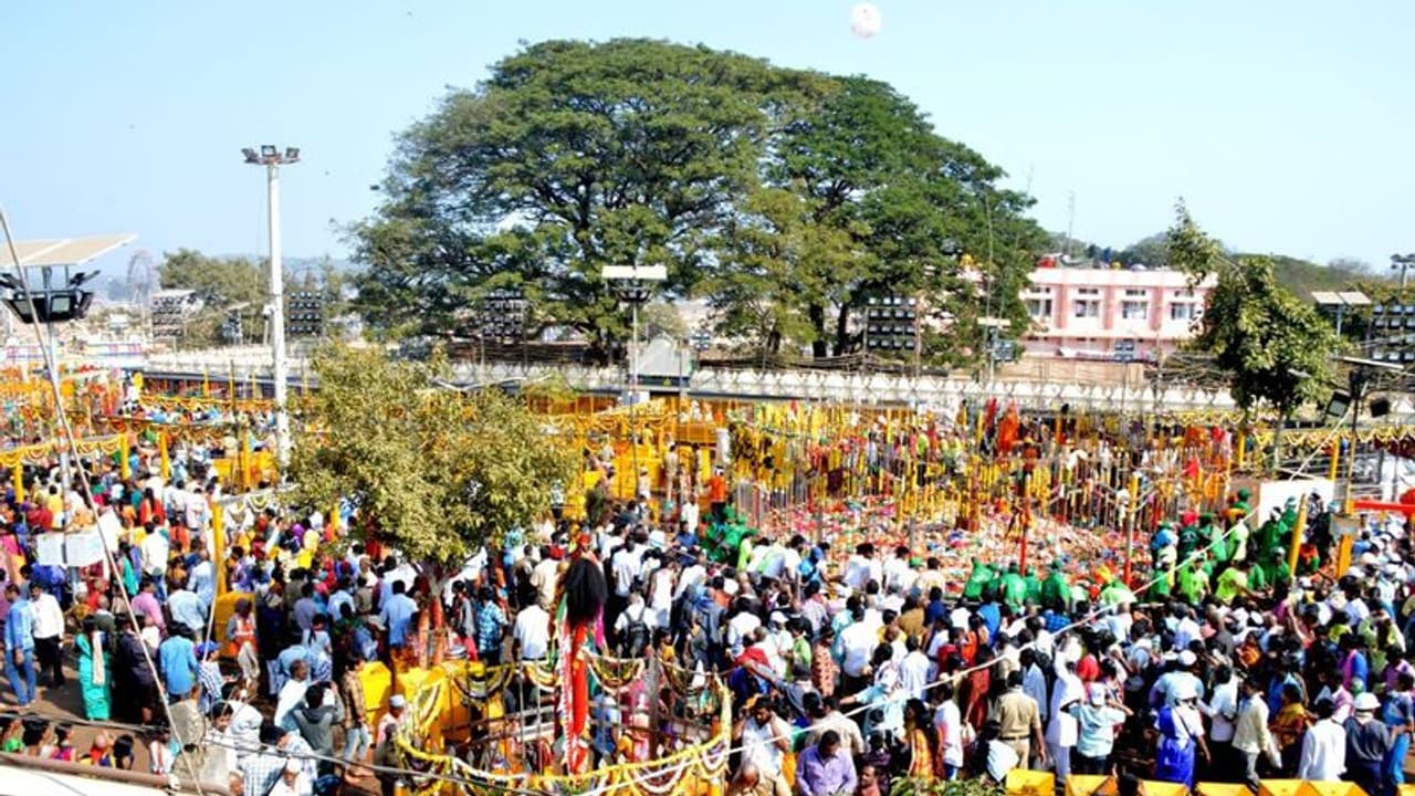 గద్దెపైకి చేరుకున్న సమ్మక్క, పోటెత్తిన భక్తులు గద్దెపైకి చేరుకున్న సమ్మక్క, పోటెత్తిన భక్తులు