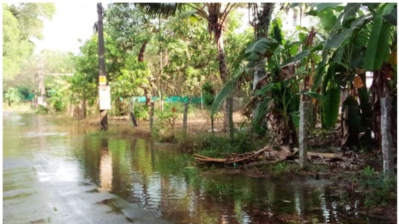 കനാൽ കവിഞ്ഞൊഴുകി ചാരുംമൂട്ടിൽ കൃഷി നാശവും വെളളക്കെട്ടും കനാൽ കവിഞ്ഞൊഴുകി ചാരുംമൂട്ടിൽ കൃഷി നാശവും വെളളക്കെട്ടും